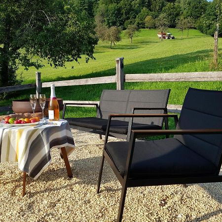 Business Apartment Schwarzach Dış mekan fotoğraf