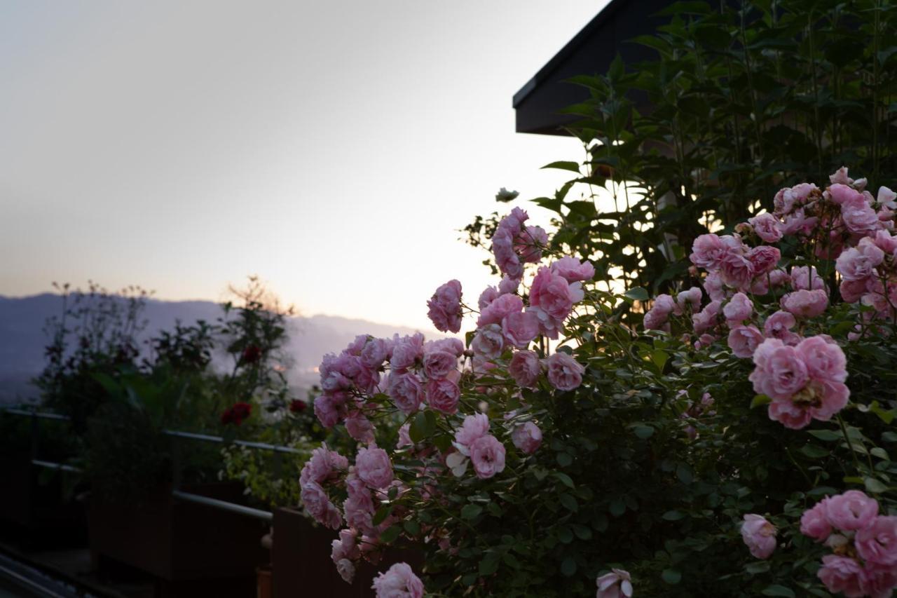 Business Apartment Schwarzach Dış mekan fotoğraf
